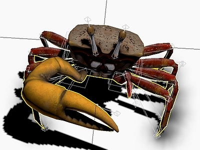 写实精致的 螃蟹动画   骨骼绑定带基本动画    河蟹3d模型